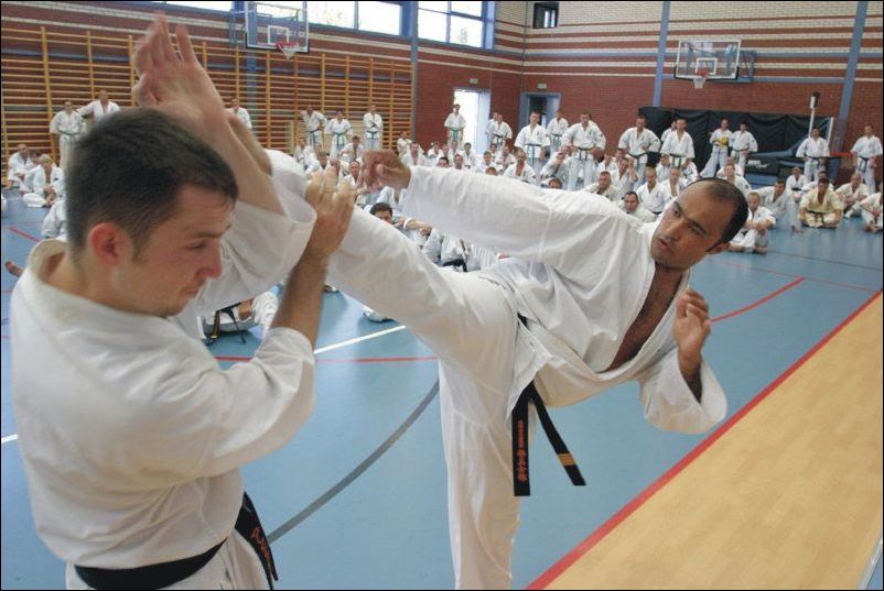 mawashi geri